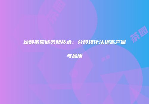 幼龄茶园修剪新技术：分段矮化法提高产量与品质