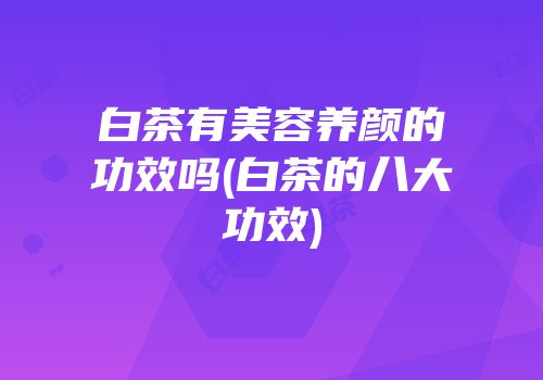 白茶有美容养颜的功效吗(白茶的八大功效)