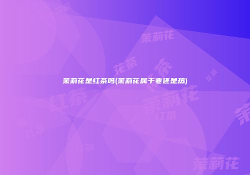 茉莉花是红茶吗(茉莉花属于寒还是热)