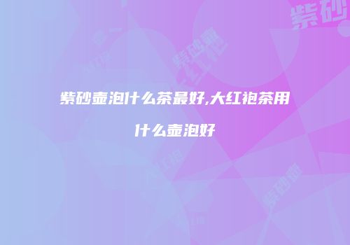 紫砂壶泡什么茶最好,大红袍茶用什么壶泡好