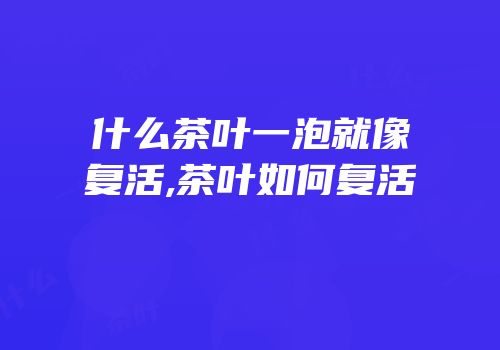 什么茶叶一泡就像复活,茶叶如何复活