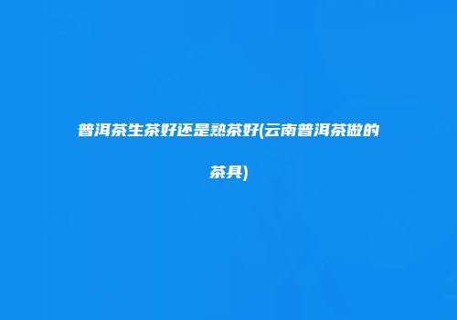 普洱茶生茶好还是熟茶好(云南普洱茶做的茶具)