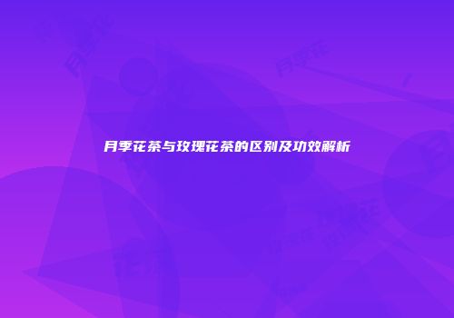 月季花茶与玫瑰花茶的区别及功效解析