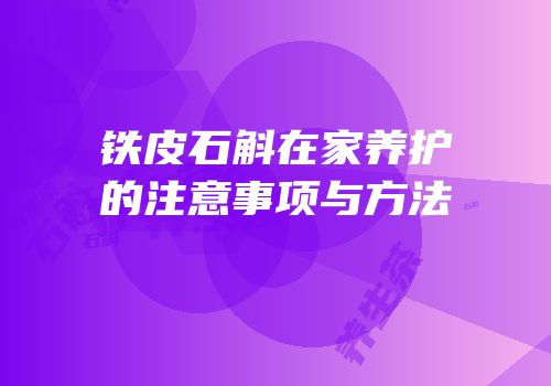 铁皮石斛在家养护的注意事项与方法