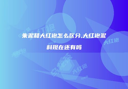 朱泥和大红袍怎么区分,大红袍泥料现在还有吗