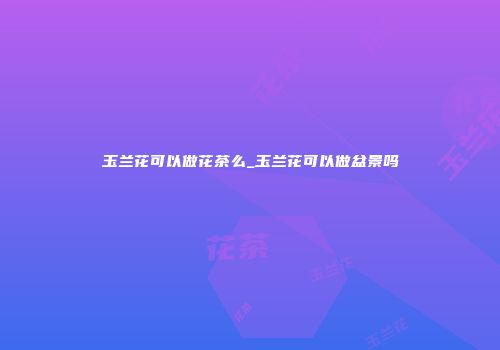 玉兰花可以做花茶么_玉兰花可以做盆景吗