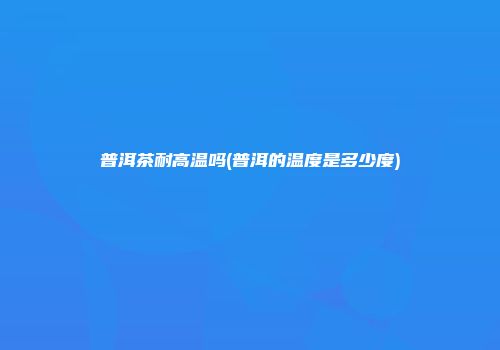 普洱茶耐高温吗(普洱的温度是多少度)