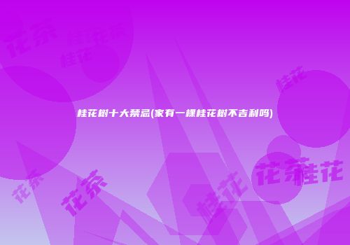 桂花树十大禁忌(家有一棵桂花树不吉利吗)