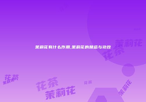 茉莉花有什么作用,茉莉花的禁忌与功效