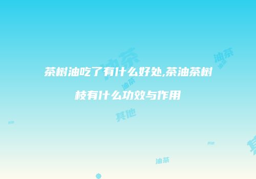 茶树油吃了有什么好处,茶油茶树枝有什么功效与作用