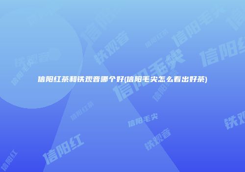 信阳红茶和铁观音哪个好(信阳毛尖怎么看出好茶)