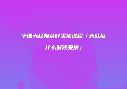 中国大红袍茶叶采摘过程「大红袍什么时候采摘」