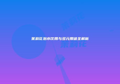 茉莉花泡水饮用与多元用途全解析
