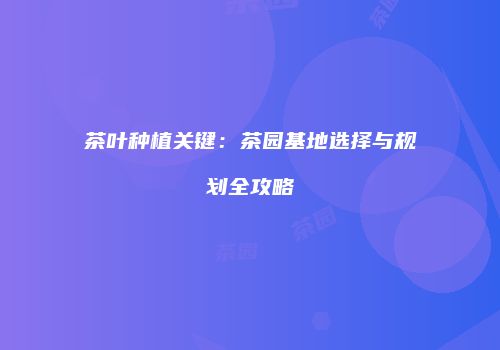 茶叶种植关键：茶园基地选择与规划全攻略