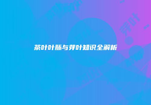 茶叶叶脉与芽叶知识全解析