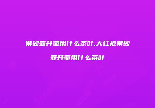 紫砂壶开壶用什么茶叶,大红袍紫砂壶开壶用什么茶叶