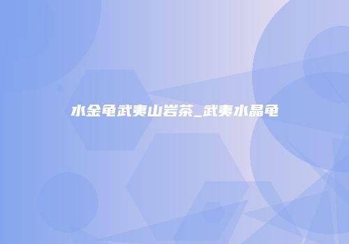 水金龟武夷山岩茶_武夷水晶龟