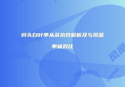 岭头白叶单从茶功效解析及与凤凰单枞对比