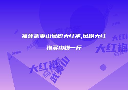 福建武夷山母树大红袍,母树大红袍多少钱一斤