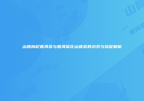山楂枸杞普洱茶与普洱菊花山楂茶的功效与搭配解析