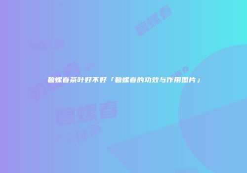 碧螺春茶叶好不好「碧螺春的功效与作用图片」
