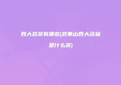 四大岩茶有哪些(武夷山四大名枞是什么茶)