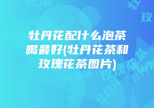 牡丹花配什么泡茶喝最好(牡丹花茶和玫瑰花茶图片)