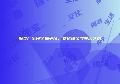 探寻广东兴宁梅子茶：文化瑰宝与生活艺术