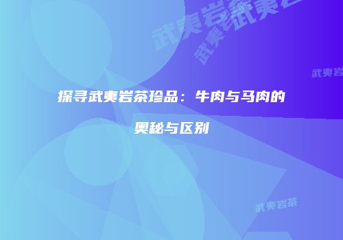 探寻武夷岩茶珍品：牛肉与马肉的奥秘与区别