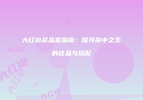 大红袍茶品鉴指南：探寻茶中之王的佳品与搭配