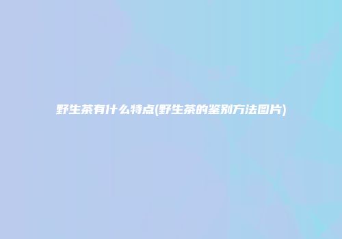 野生茶有什么特点(野生茶的鉴别方法图片)