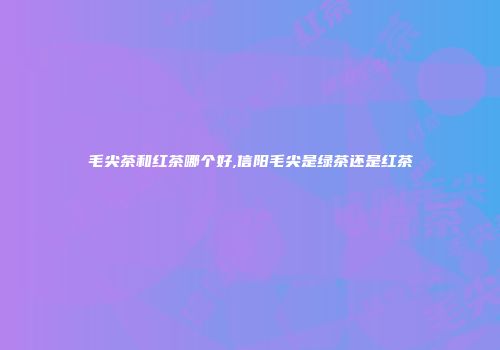 毛尖茶和红茶哪个好,信阳毛尖是绿茶还是红茶