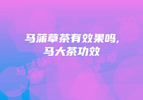 马蒲草茶有效果吗,马大茶功效