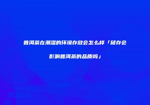 普洱茶在潮湿的环境存放会怎么样「储存会影响普洱茶的品质吗」
