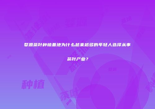 婺源茶叶种植基地为什么越来越多的年轻人选择从事茶叶产业？