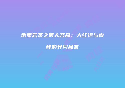 武夷岩茶之两大名品：大红袍与肉桂的异同品鉴