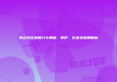 勿忘我花的魅力与奥秘：养护、花语及应用解析