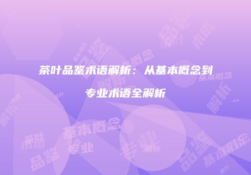 茶叶品鉴术语解析：从基本概念到专业术语全解析