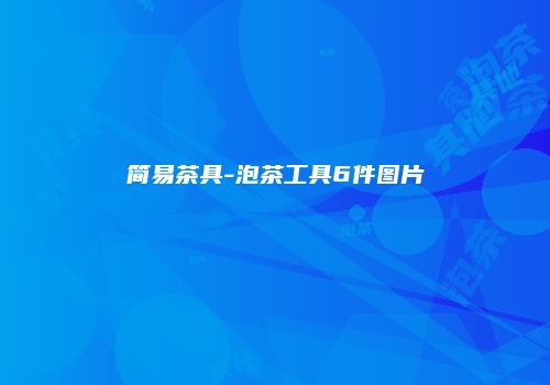 简易茶具-泡茶工具6件图片