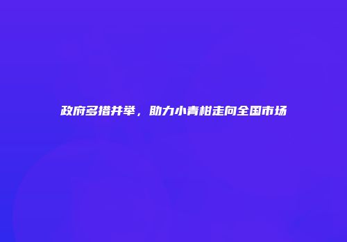 政府多措并举，助力小青柑走向全国市场