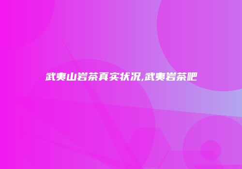 武夷山岩茶真实状况,武夷岩茶吧