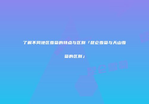 了解不同地区雪菊的特点与区别「昆仑雪菊与天山雪菊的区别」