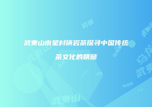 武夷山市星村镇岩茶探寻中国传统茶文化的精髓