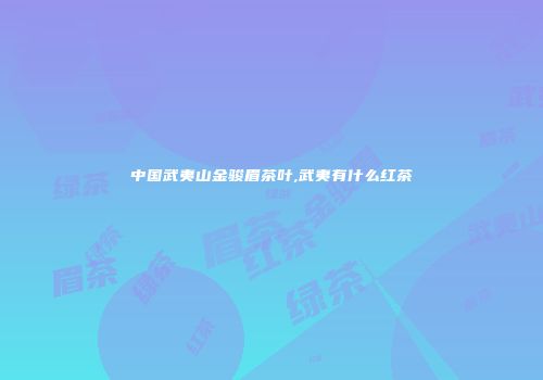 中国武夷山金骏眉茶叶,武夷有什么红茶