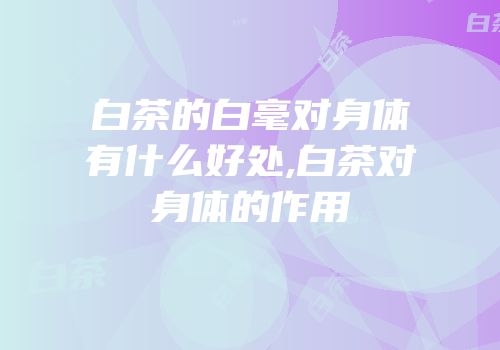 白茶的白毫对身体有什么好处,白茶对身体的作用
