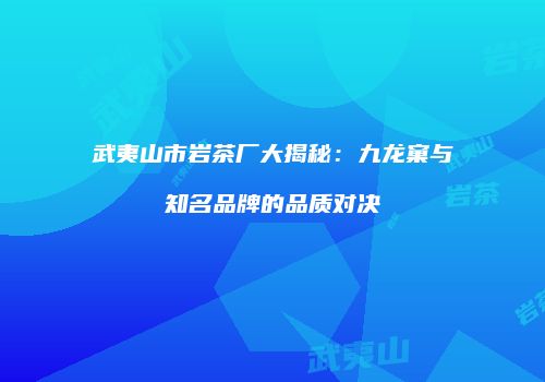 武夷山市岩茶厂大揭秘：九龙窠与知名品牌的品质对决