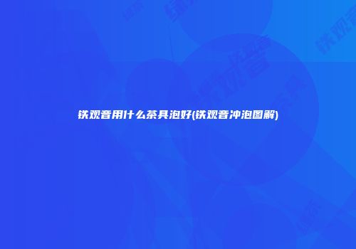 铁观音用什么茶具泡好(铁观音冲泡图解)
