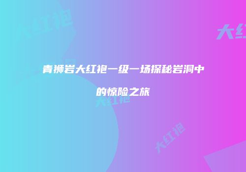 青狮岩大红袍一级一场探秘岩洞中的惊险之旅