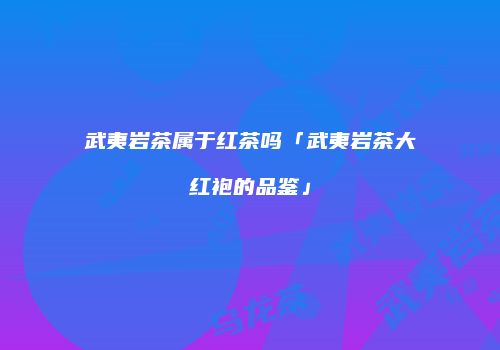 武夷岩茶属于红茶吗「武夷岩茶大红袍的品鉴」