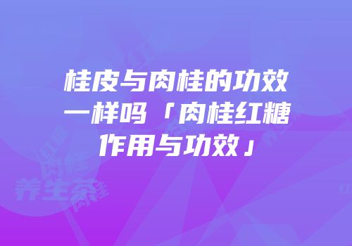 桂皮与肉桂的功效一样吗「肉桂红糖作用与功效」